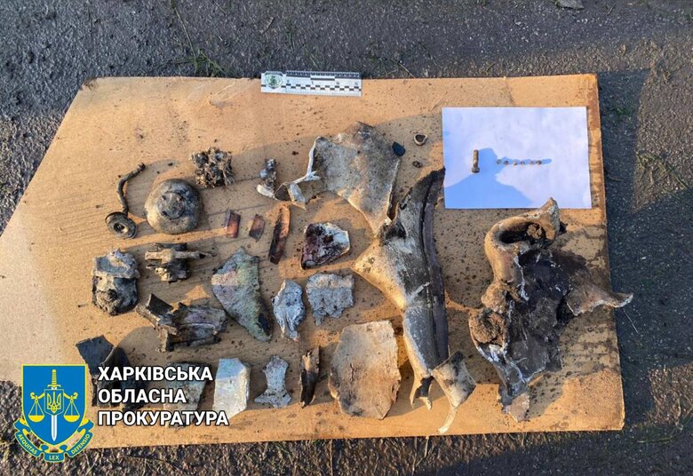 Последствия вражеских обстрелов Харьковщины 05