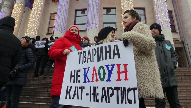 Страждання - це НЕ смішно! У Києві протестували проти використання тварин у цирку 10