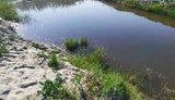Двоє братів 10 і 14 років потонули в ставку на Чернігівщині