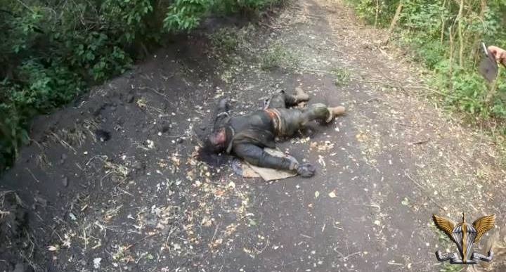 Українські десантники знищили групу рашистів на Донеччині, - ДШВ ЗСУ 03