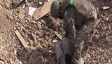 саперы