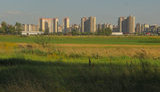 заказник