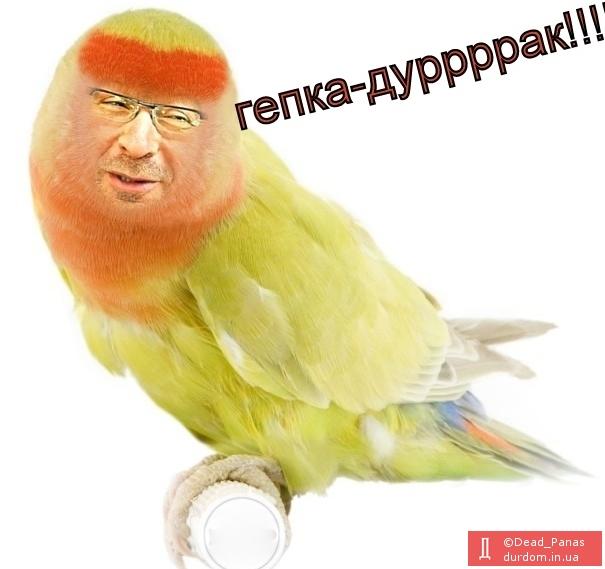 кернес