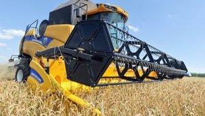 Украина увеличила экспорт зерновых на 24,5%