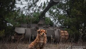 Нічне зведення Генштабу