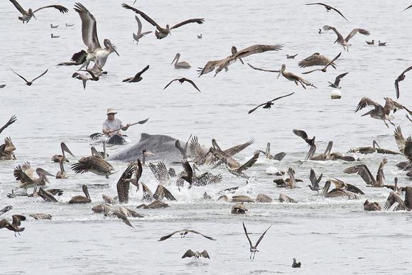 Цензор.НЕТ Изображение
