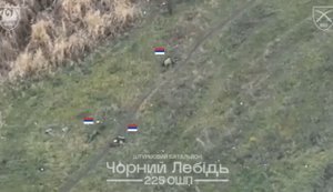 Scattered bodies of Russian assault troops in Pokrovsk direction. VIDEO
