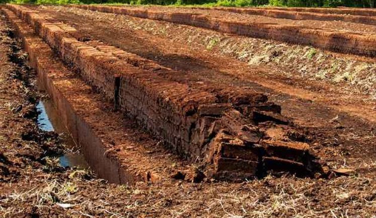 Мінекономіки ініціює запровадження особливих правил використання земель під торфовищами