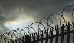 У полоні в окупантів на Донбасі перебувають 250 осіб, - СБУ