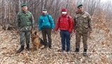 нелегалы