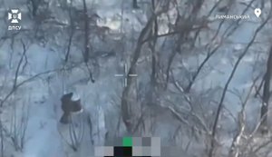 Пограничники подразделения "Феникс" поразили 4 пункта управления БПЛА врага на Лиманском направлении. ВИДЕО
