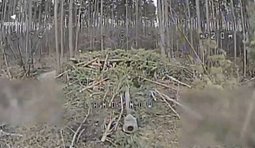 Прикордонники уразили замасковану гармату, укриття та техніку ворога