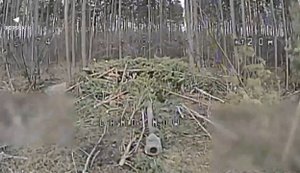 Пограничники "Стальной границы" нанесли ряд ударов по замаскированной гаубице "Мста-Б" оккупантов. ВИДЕО