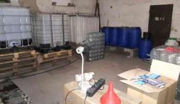 алкоголь гфс