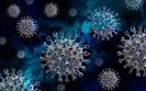Ukraine reports 9,846 new COVID-19 cases