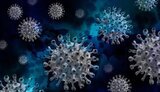 Ukraine reports 9,846 new COVID-19 cases