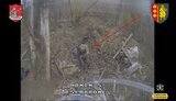 ліквідація окупанта