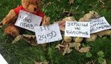"Украина не Беларусь": во Львове игрушки провели "Последний мирный протест". ФОТОрепортаж