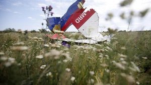 Ми попросимо слідство з'ясувати, чому РФ і Україна не закрили повітряний простір на Донбасі напередодні збиття МН17, - глава МЗС Нідерландів