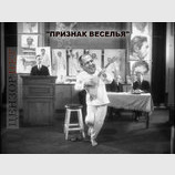 В мире животных