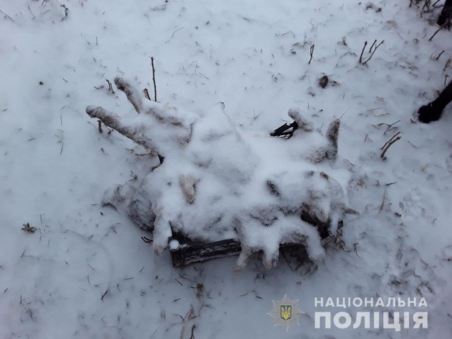 На Киевщине задержали догхантеров, замучивших более 50 животных 03