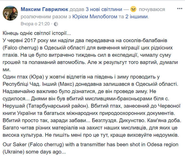 Безглуздя. Дикунство. Камяна доба: браконьєри заради забави вбили червонокнижного сокола-балобана на Одещині 02