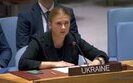 Заступниця постійного представника України при цій організації Христина Гайовишин