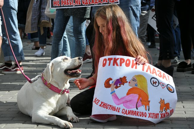 Thousand of Ukrainians protested against animals’ abuse 05