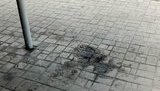 Перед приездом Януковича Донецк очистили от... урн. ФОТО