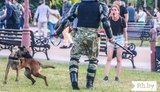 Что сейчас происходит в Беларуси. ВПЕЧАТЛЯЮЩЕЕ ФОТО