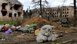 Українські військовослужбовці не причетні до загибелі п