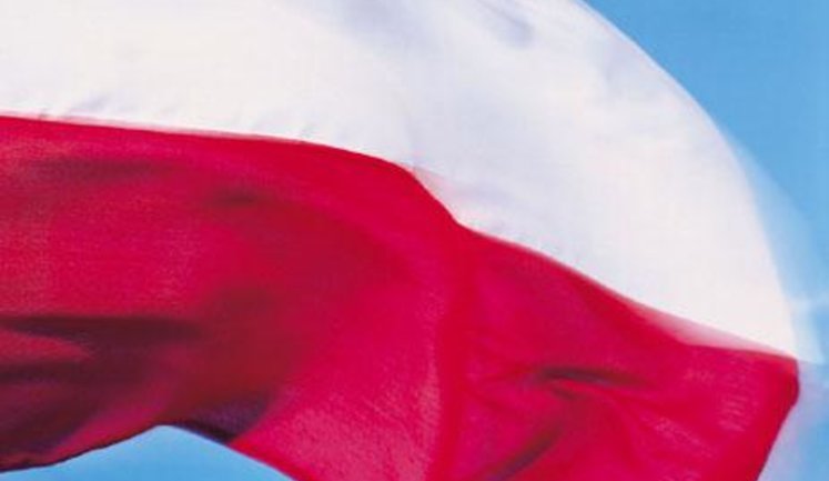 Сенат Польши: ОУН-УПА занимались "этнической чисткой с признаками геноцида"
