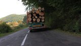 Заготовка леса-кругляка подскочила за год на 23%, – Госстат