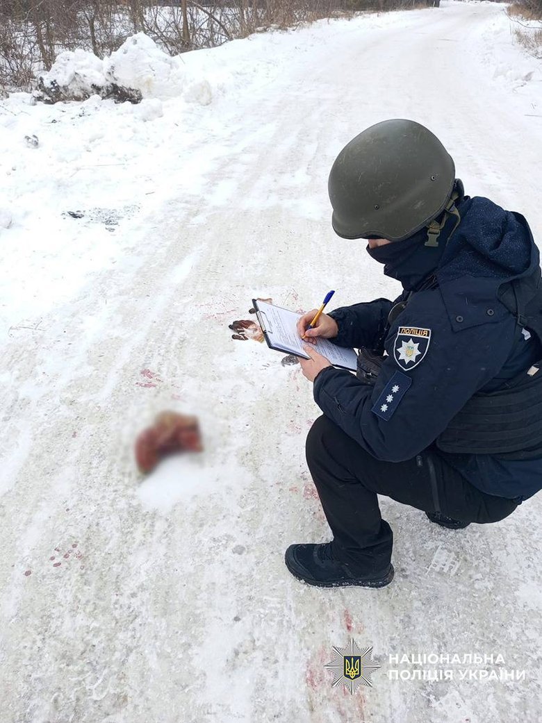 Удар РФ по агропредприятию в Черниговской области