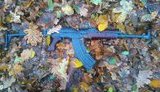 Окуєву вбили з рідкісної зброї, це чітка ознака замовності злочину, - Шевченко. ФОТО