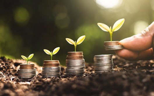 Гранти по 100 тис. грн для агробізнесу: стартував набір на програму SEED 5.0.  Читайте на UKR.NET