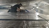 Українець намагався вивезти до Румунії в міжстельовому просторі причепа вантажівки DAF понад 20 тисяч пачок сигарет, - ДПСУ. ВІДЕО+ФОТОрепортаж