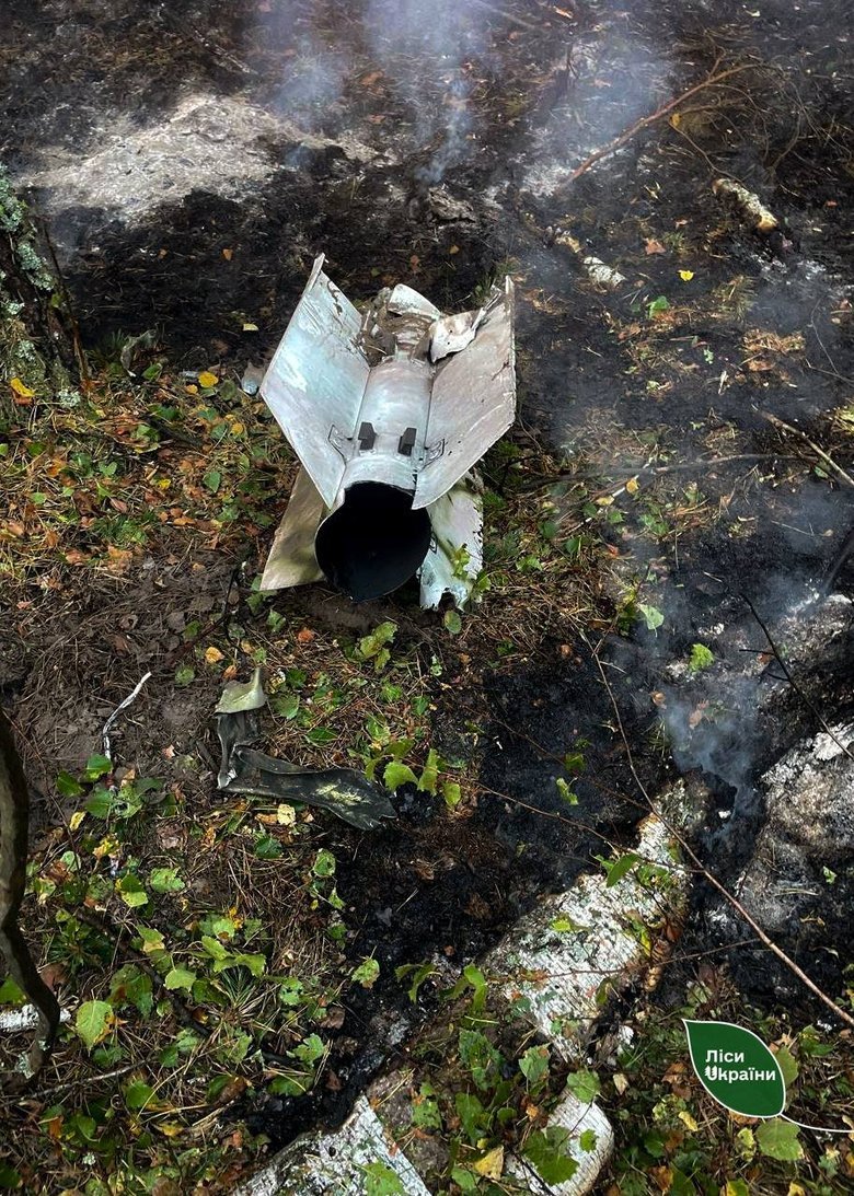 Російські БПЛА, КАБи та FPV-дрони спричинили пожежі на 42 га лісів України