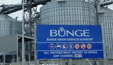 Компании из Испании и США построят завод по переработке кукурузы на Виннитчине