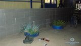 Около киевского супермаркета мужчину ранили ножом в живот из-за замечания. Злоумышленник задержан, - полиция. ФОТОрепортаж