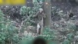 полонений