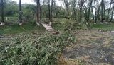 Погіршення погодних умов очікується у західних областях 1 серпня, - ДСНС
