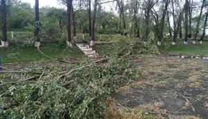 Ухудшение погодных условий ожидается в западных областях 1 августа, - ГСЧС