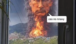 ...все нормально