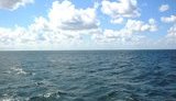 море