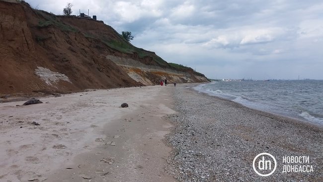 На узбережжі Азовського моря знайшли мертвих дельфінів 02